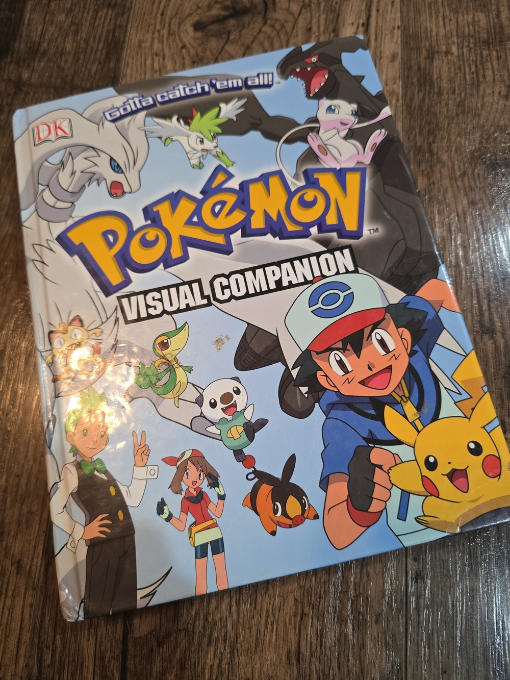 Visual Companion — Blue Cover Guidebook